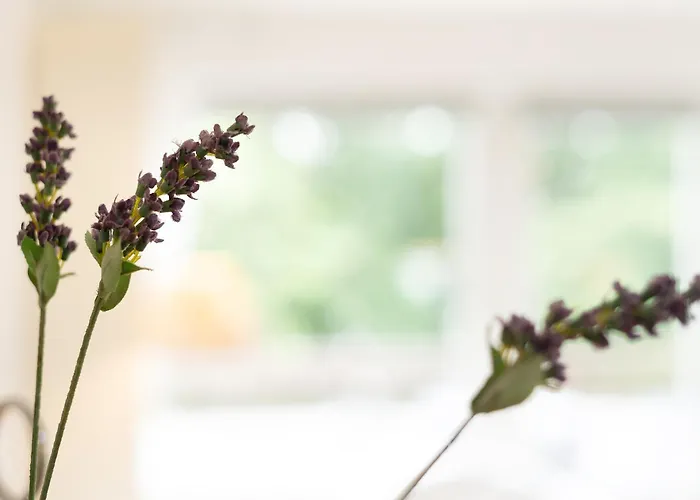 Lägenhet Waldstrasse 2 Kellenhusenliebe